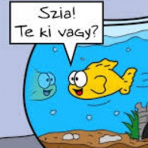 kapasvan