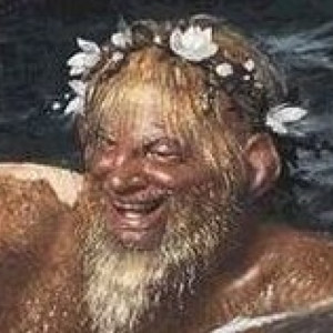 vizesember