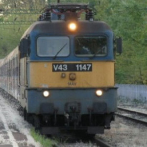 Muszka1